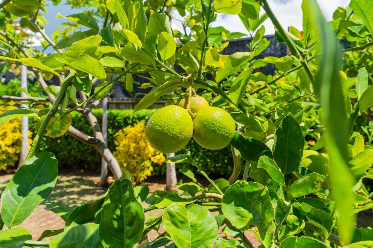 1730 Kaleka 4 Bed Poipu House, Guest House Walk To Beach Koloa Buitenkant foto